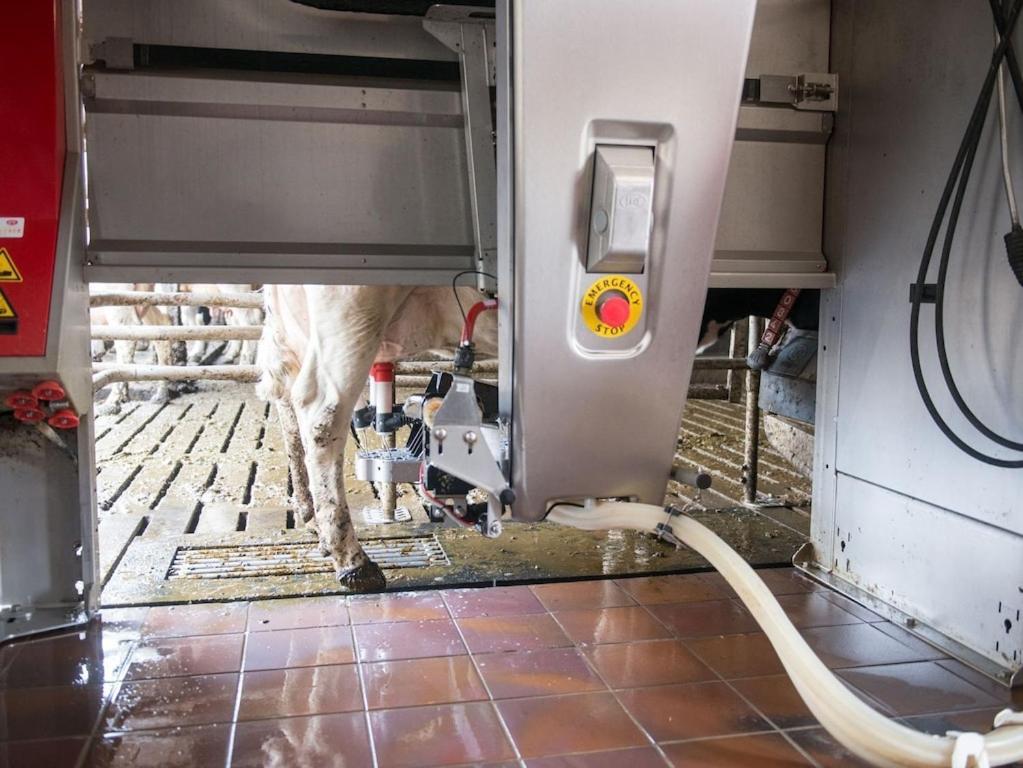 Ferienwohnung Sonnenaufgangsgenuss Harriersand Schwanewede Bagian luar foto
