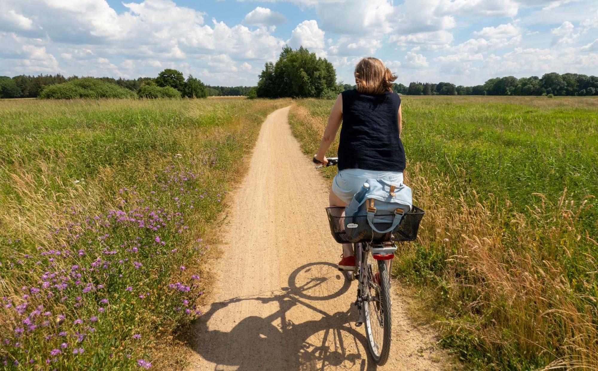 Ferienwohnung Sonnenaufgangsgenuss Harriersand Schwanewede Bagian luar foto